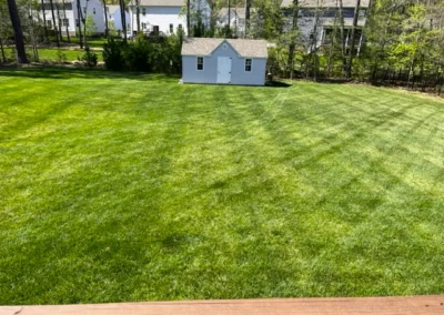 View overlooking green lawn with small shed.